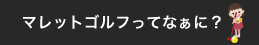 マレットゴルフってなぁに？